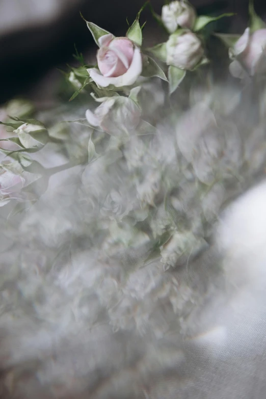 a bunch of flowers sitting on top of a table, a picture, by Ruth Simpson, unsplash, romanticism, swirling fog, detail shot, wedding, abstract detail