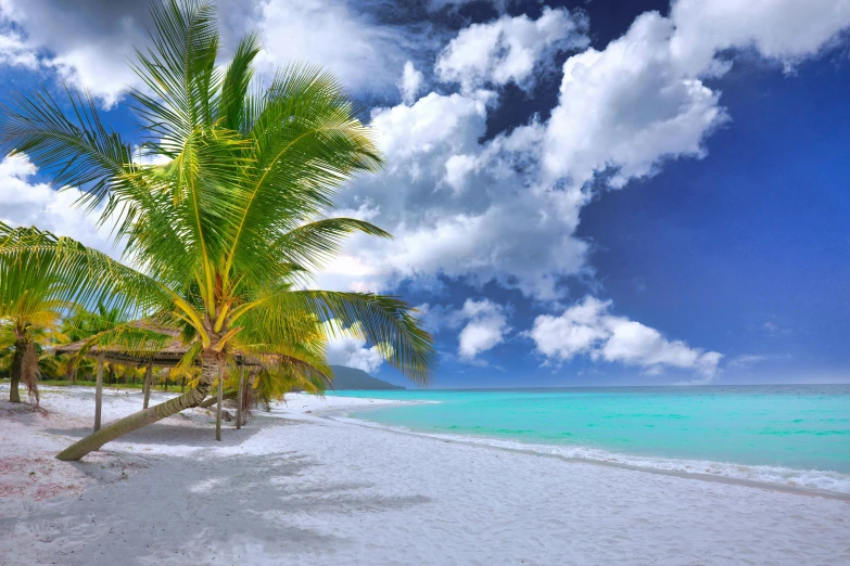 a beach with palm trees and white sand, pexels contest winner, vray beautiful, fan favorite, turquoise water, islamic