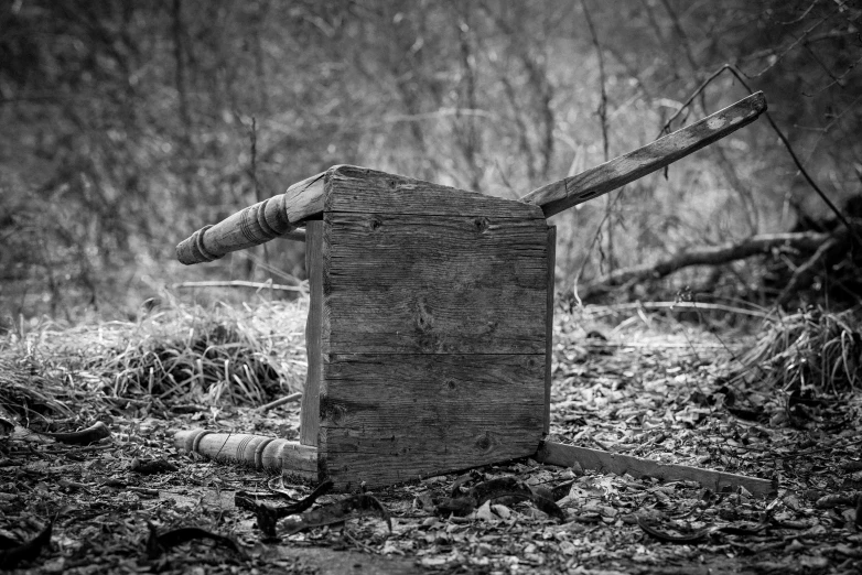 a wooden box sitting in the middle of a forest, a portrait, flickr, bw photo, wood carved chair, abandoned weapons, profile picture 1024px