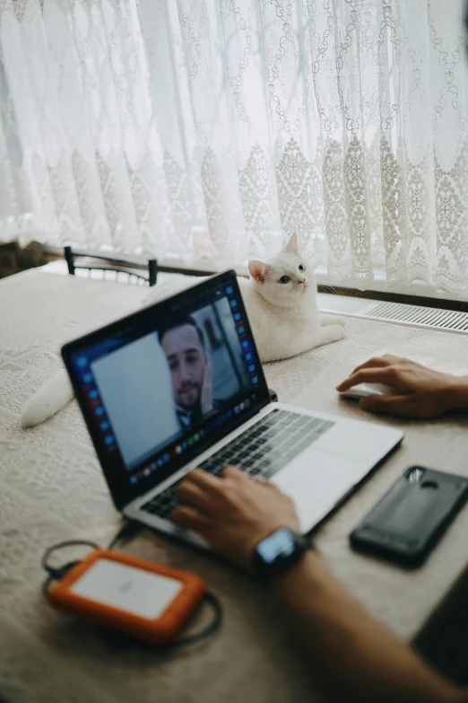 a man sitting in front of a laptop computer, by Julia Pishtar, trending on pexels, white cat, two buddies sitting in a room, long distance photo, webcam footage