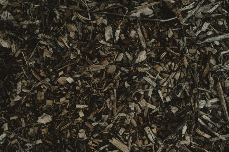 a close up of a pile of wood chips, an album cover, unsplash, dark grey, ignant, photorealistic texture, gardening