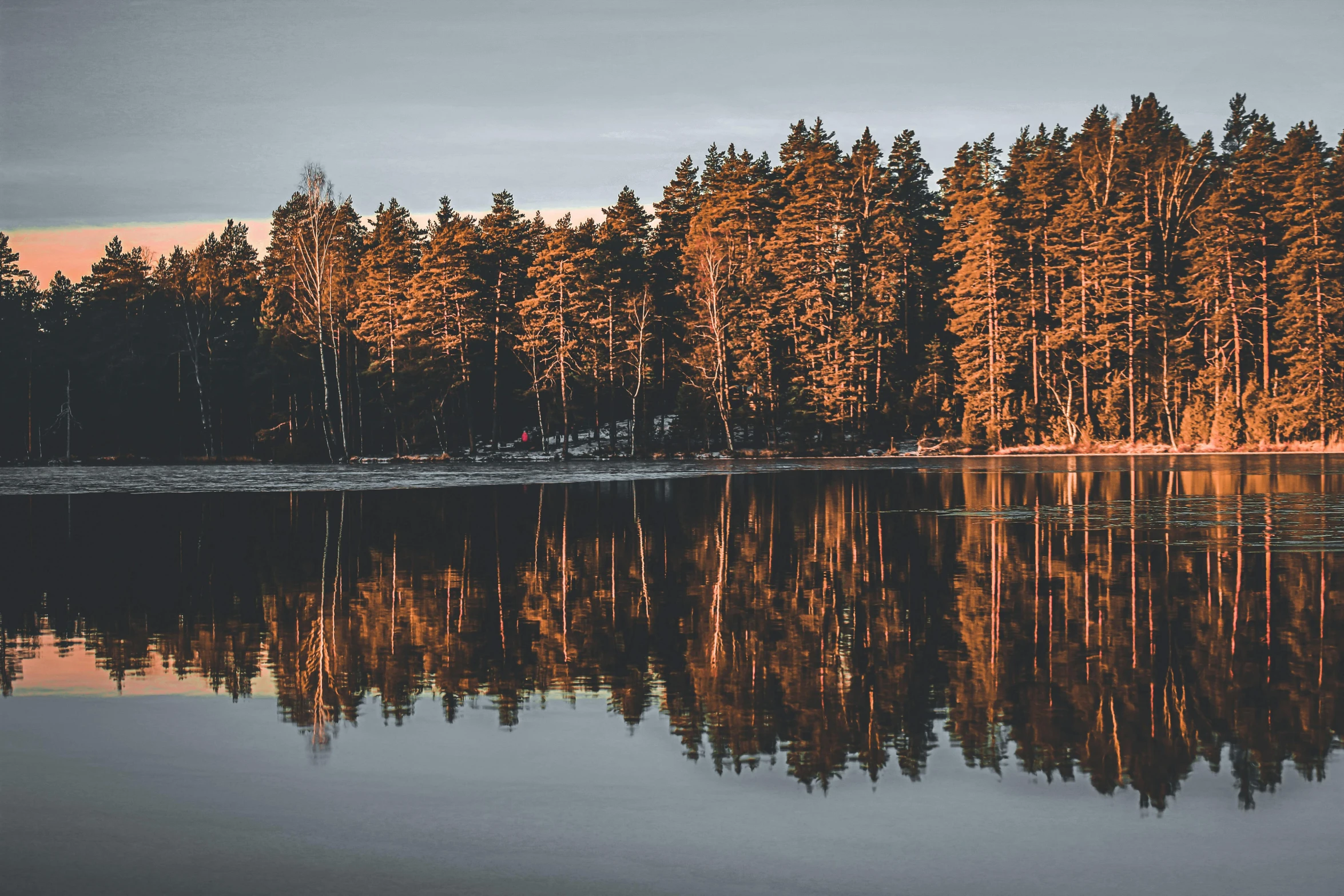 a body of water with trees in the background, by Jaakko Mattila, pexels contest winner, dark grey and orange colours, tall pine trees, warm light, reflections in copper