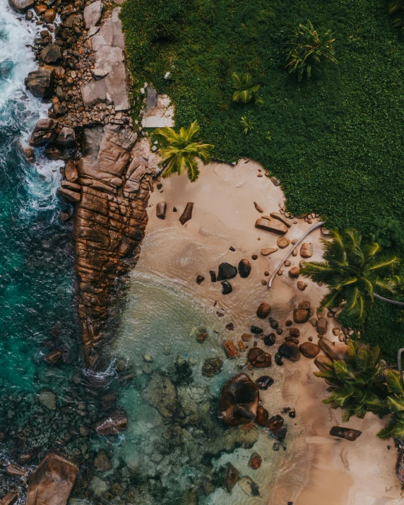 an aerial view of a beach and palm trees, a screenshot, pexels contest winner, rocky coast, elegant pose, sri lanka, shallow waters