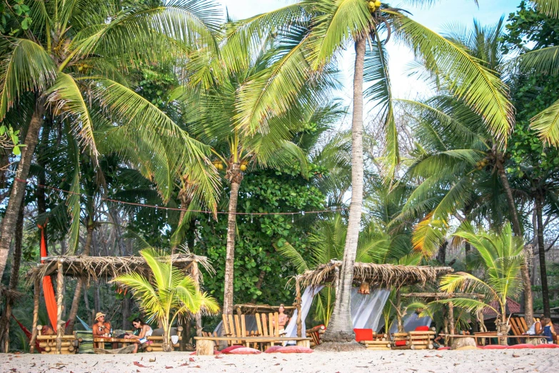 a group of people sitting on top of a sandy beach, breakfast at las pozas, coconut palms, magazine photo, beach bar