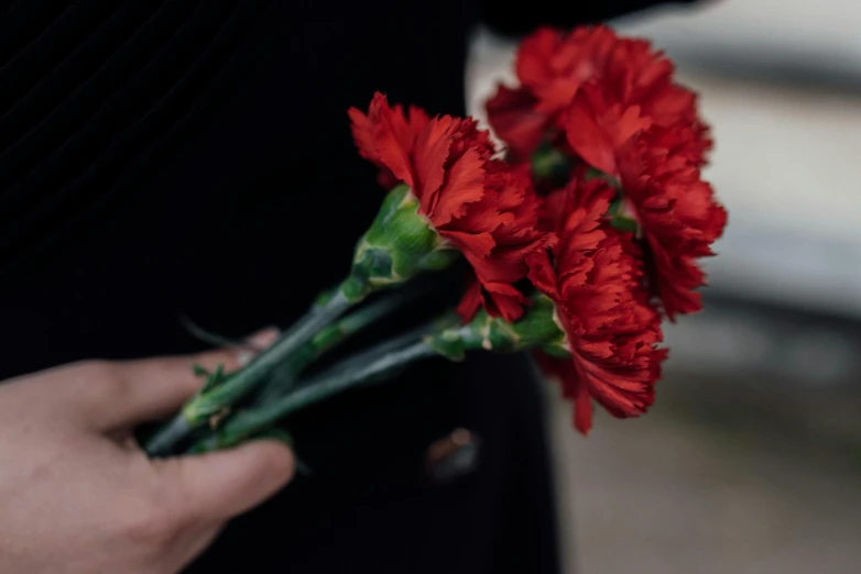 a person holding a bunch of red flowers, funeral, profile image, digital image, documentary photo
