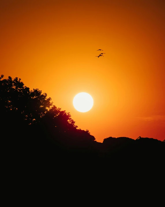 a sunset with a flock of birds flying in the sky, pexels contest winner, two suns, sun through the trees, sweltering heat, ((sunset))