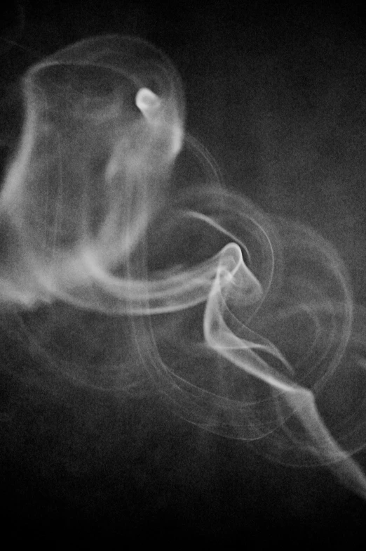 a black and white photo of smoke, inspired by Germaine Krull, flickr, swirly, photograph”, black & white photograph, by greg rutkowski