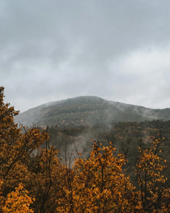 a mountain in the distance with trees in the foreground, autumn rain turkel, thumbnail, multiple stories, nature photo