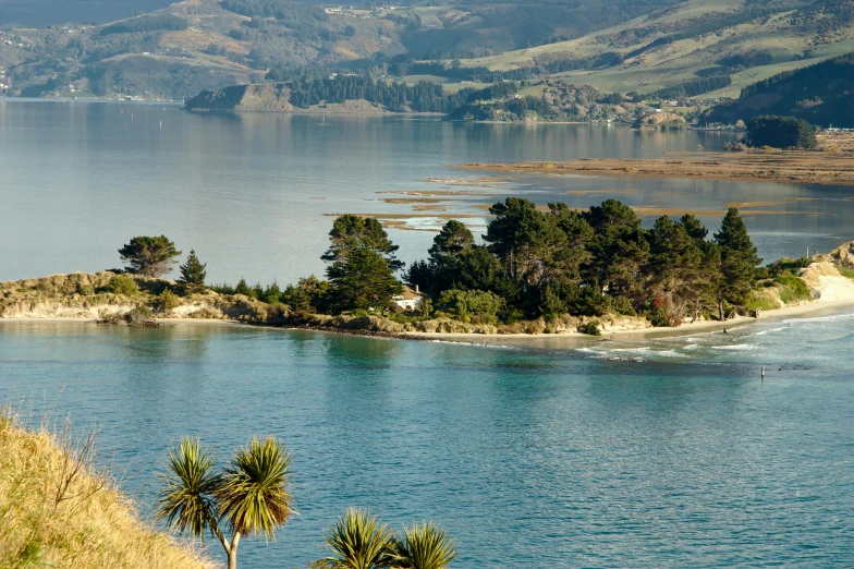 a small island in the middle of a body of water, by Simon Marmion, unsplash, hurufiyya, tawa trees, beach is between the two valleys, 2000s photo, conde nast traveler photo