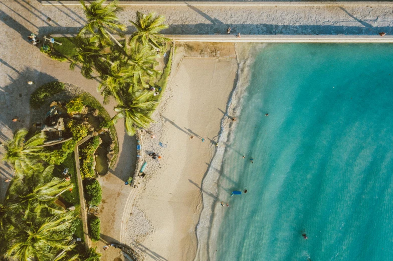 an aerial view of a beach with palm trees, pexels contest winner, posing in waikiki, people swimming, ayne haag, fine detailing