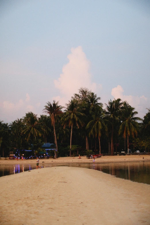 a group of people standing on top of a sandy beach, coconut trees, calm evening, thawan duchanee, inlets