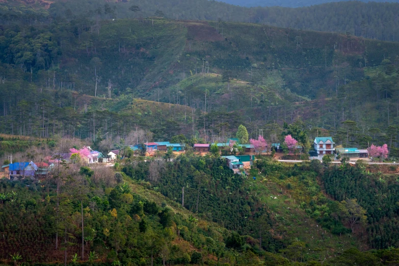 a group of houses sitting on top of a lush green hillside, sumatraism, turquoise pink and green, pink trees, tea, multicoloured