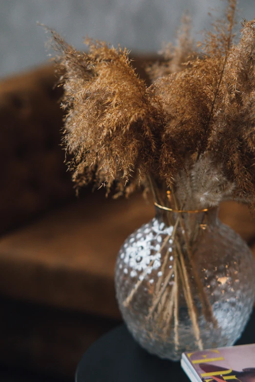 a vase filled with dry grass sitting on top of a table, a still life, trending on unsplash, renaissance, sparkling atmosphere, light brown fur, detail shot, brown flowers