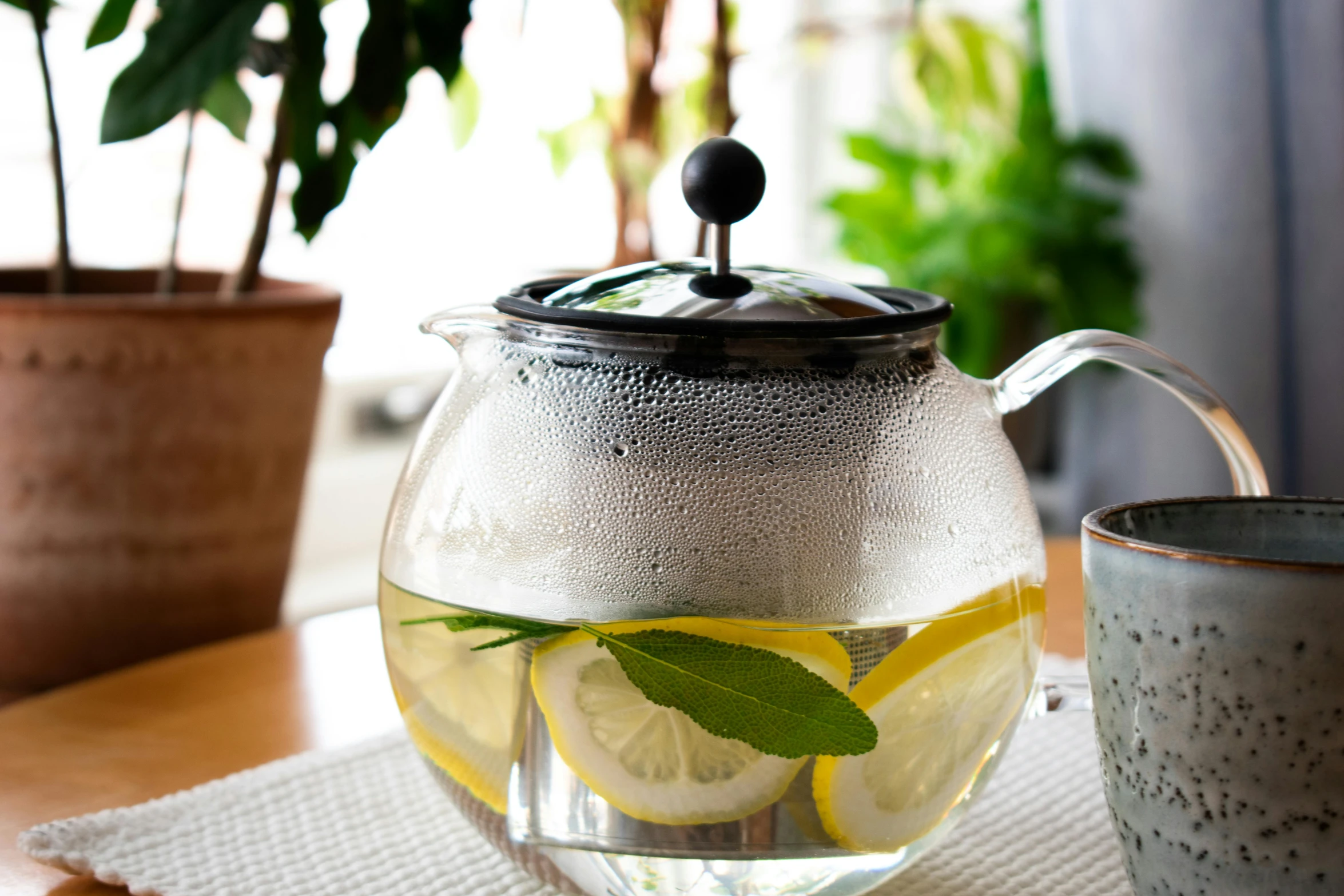 a tea pot filled with lemon slices next to a cup of tea, trending on pexels, spirited water plants, glass visor, thumbnail, stainless steel