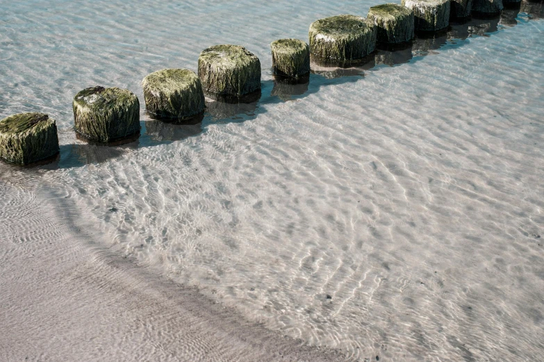 a row of wooden posts sticking out of the water, an album cover, inspired by Maruyama Ōkyo, unsplash, land art, green sea urchin, striations, 2022 photograph, stepping stones