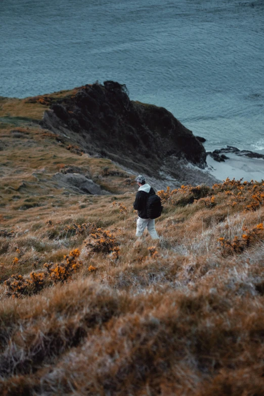 a person standing on a hill overlooking a body of water, coastal cliffs, walking in high grass field, rhys lee, fall season