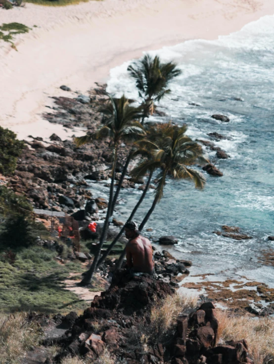 a group of people sitting on top of a lush green hillside next to the ocean, a palm tree, red sand, flatlay, standing on rocky ground