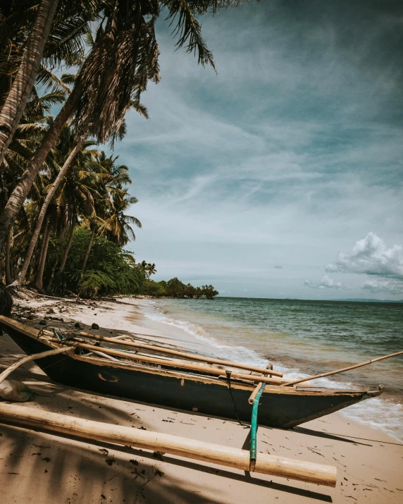 a couple of boats sitting on top of a sandy beach, a palm tree, unsplash photography, 1970s philippines, gif