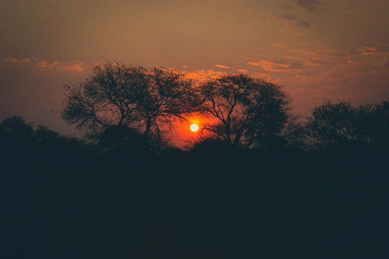 the sun is setting behind some trees, by Daniel Lieske, pexels contest winner, savana background, red hues, instagram post, dimly - lit