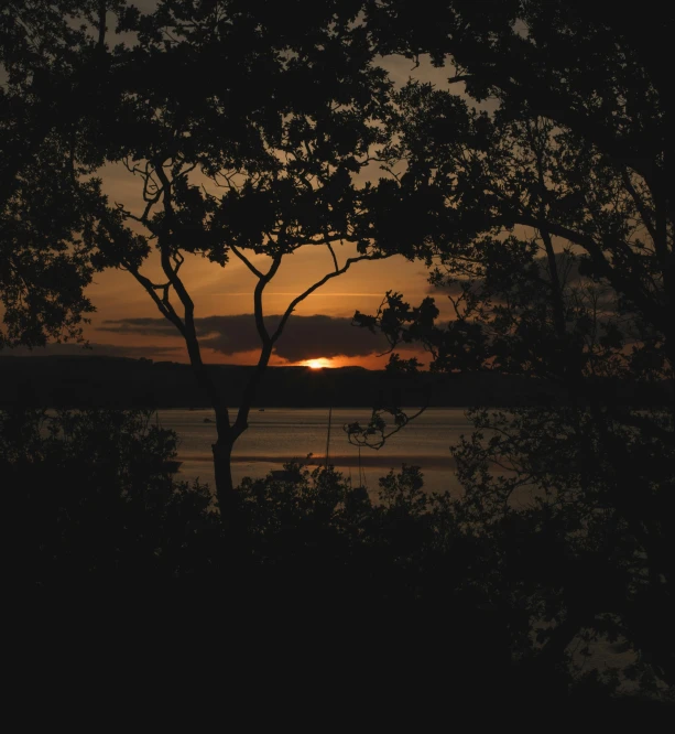 the sun is setting over a body of water, by Heather Hudson, pexels contest winner, australian tonalism, moonlight through the trees, golden hour 4k, vista view, humid evening