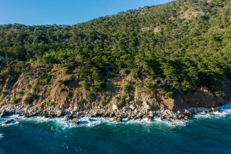 a large body of water next to a lush green hillside, by Doug Wildey, unsplash, australian beach, pine forests, flying rocky island, mediterranean
