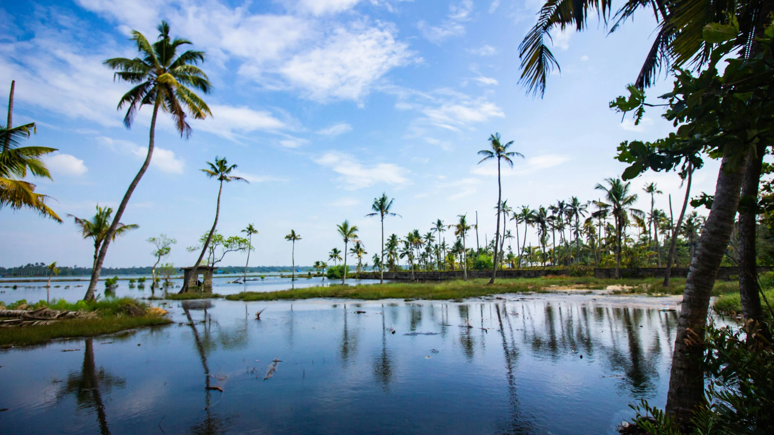 a body of water surrounded by palm trees, ancient forest like fanal forest, chocolate, thumbnail, fan favorite