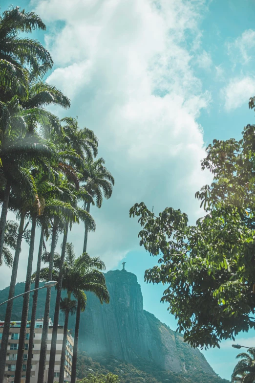 a street with palm trees and a mountain in the background, pexels contest winner, brazil, instagram post, detailed trees and cliffs, skyscrapers with greenery