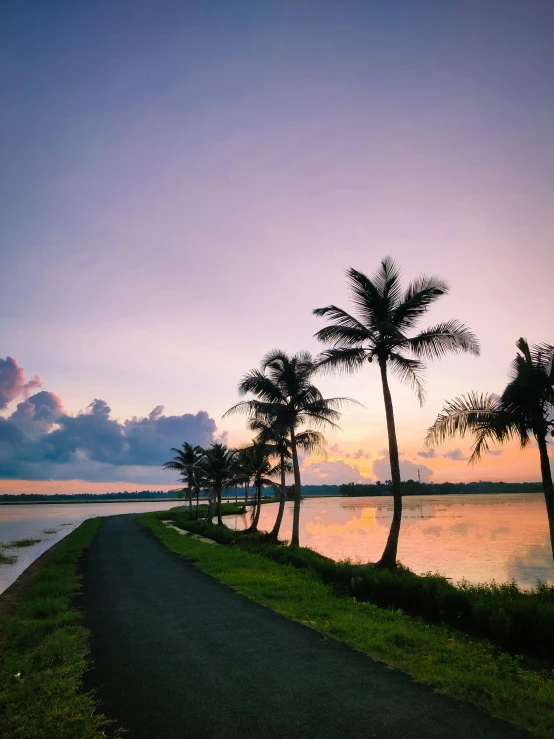 a road lined with palm trees next to a body of water, during a sunset, assamese aesthetic, multiple stories, outdoor