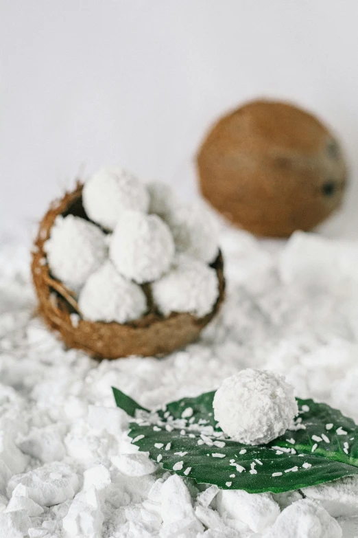 a bunch of snowballs sitting on top of a pile of snow, inspired by Kanō Tan'yū, hurufiyya, coconuts, detailed product image, profile pic, small