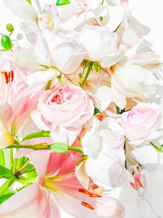 a vase filled with pink and white flowers, an album cover, inspired by François Boquet, trending on unsplash, detail shot, overexposed sunlight, roses and tulips, white lilies