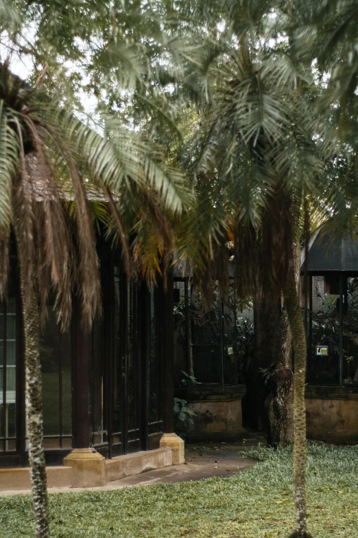 a giraffe standing on top of a lush green field, bengal school of art, palm trees outside the windows, rusted walls, gazebos, atrium