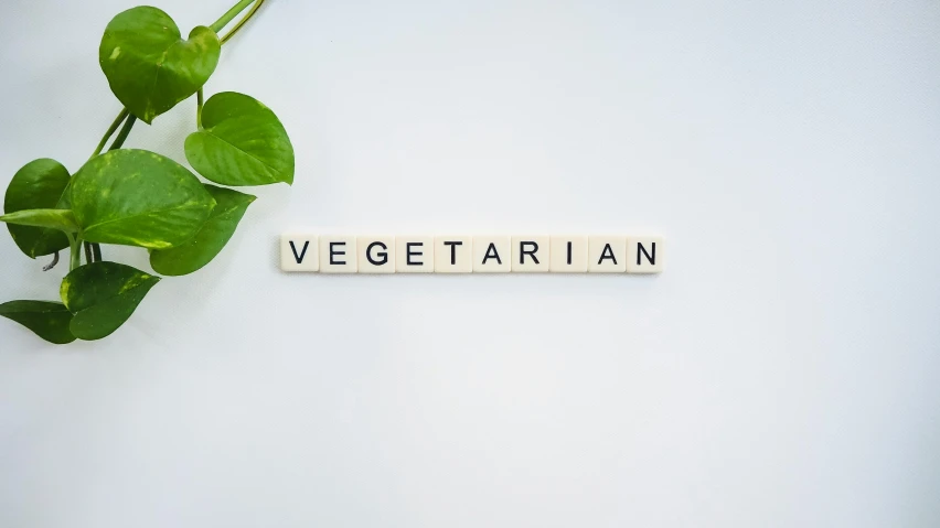 a plant that is next to a sign that says vegetarian, unsplash, verdadism, made of all white ceramic tiles, avatar image, cutlery, 3 4 5 3 1