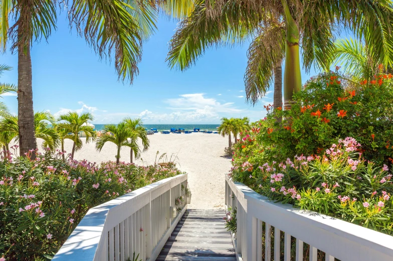 a walkway leading to a beach with palm trees, vibrant greenery outside, miami beach, profile image, beach bar