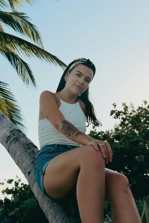 a woman sitting on top of a palm tree, wearing a tank top and shorts, bella poarch, with tattoos, profile image