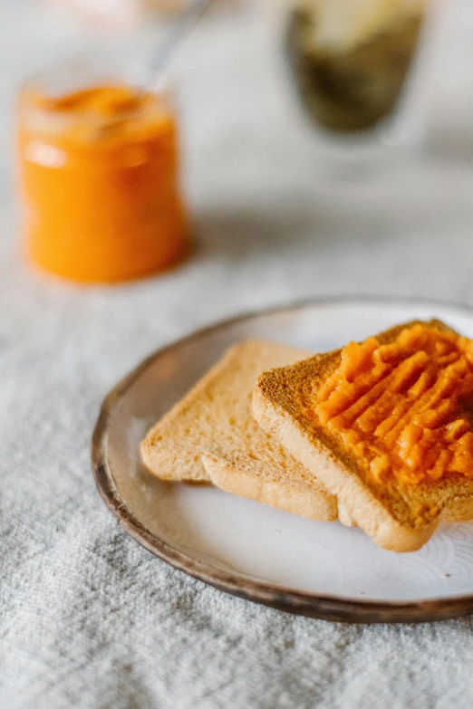 a close up of a plate of food on a table, toast, orange body, relish, medium