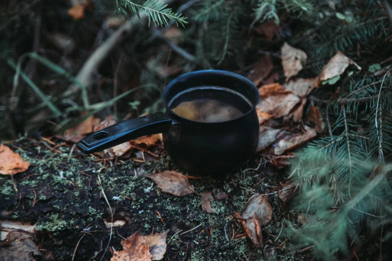 a cup of coffee sitting on a log in the woods, by Emma Andijewska, cauldrons, black, small, thumbnail