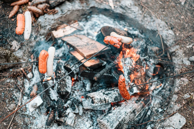 hot dogs and sausages cooking over an open fire, by Emma Andijewska, pexels contest winner, auto-destructive art, 🦩🪐🐞👩🏻🦳, forest fire, salmon, thumbnail