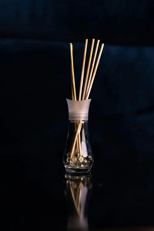 a glass vase filled with sticks sitting on top of a table, perfume, in front of a black background, oils, fan favorite