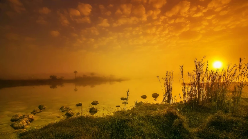 the sun is setting over a body of water, by Andries Stock, pexels contest winner, romanticism, yellow volumetric fog, landscape photo, marsh, surreal colors