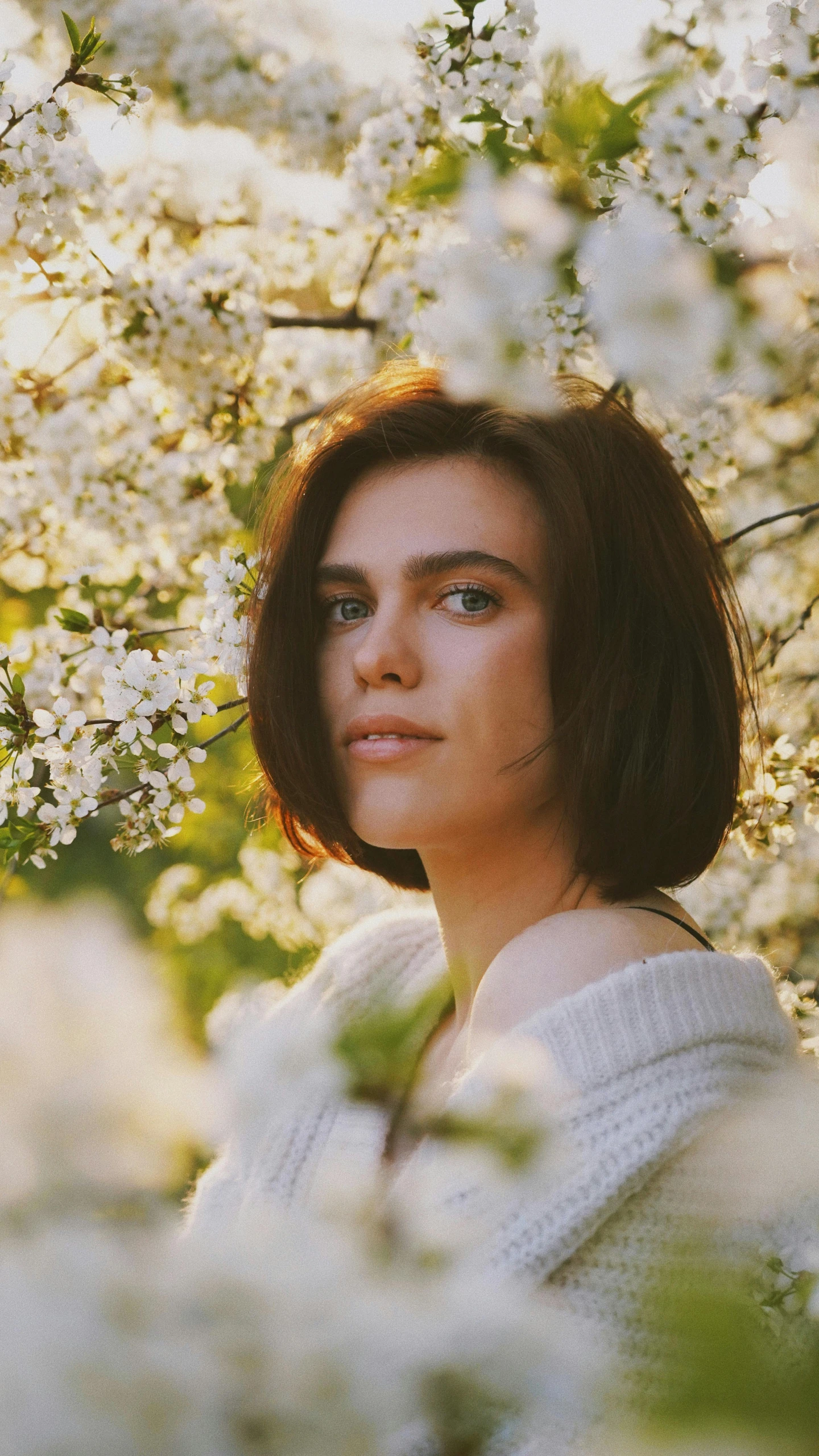 a woman standing in a field of white flowers, an album cover, inspired by Elsa Bleda, trending on unsplash, short brown hair and large eyes, color photograph portrait 4k, sakura season, handsome girl