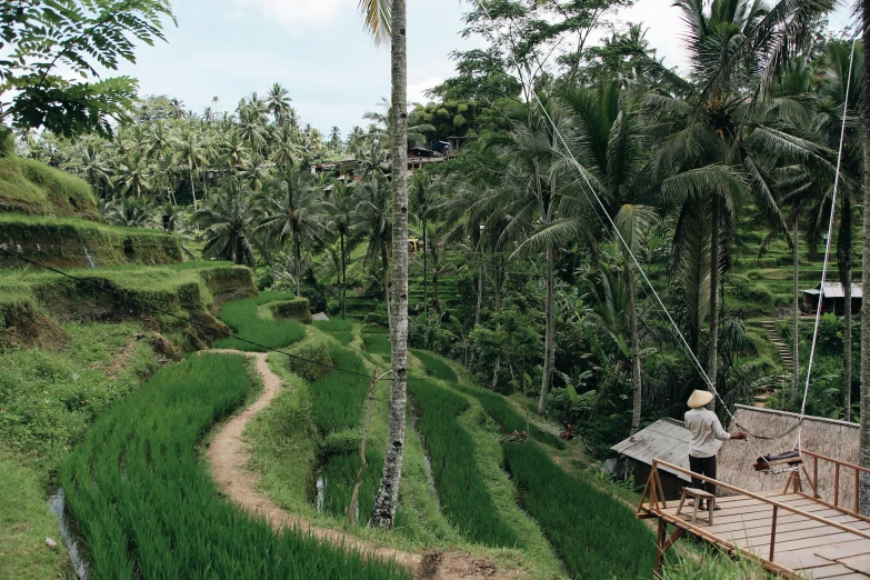 a man sitting on top of a wooden bridge over a lush green field, by Jessie Algie, pexels contest winner, sumatraism, staggered terraces, coconut palms, 🦩🪐🐞👩🏻🦳, sydney hanson