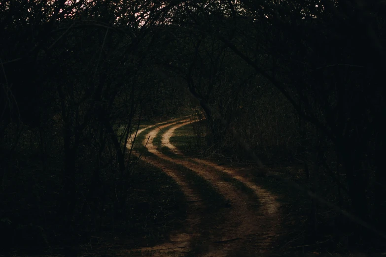 a dirt road in the middle of a forest, an album cover, inspired by Elsa Bleda, pexels contest winner, curved lines, dark tone, in a dark, instagram picture
