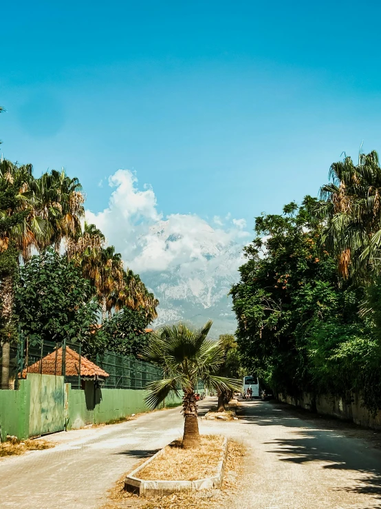 a street lined with palm trees next to a green fence, hurufiyya, epic mountains in the background, today\'s featured photograph 4k, unmistakably kenyan, mount olympus