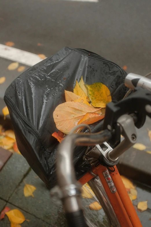 a close up of a bicycle with a bag on the back, an album cover, by Jessie Algie, unsplash, photorealism, falling leaves, black plastic, seattle, ignant