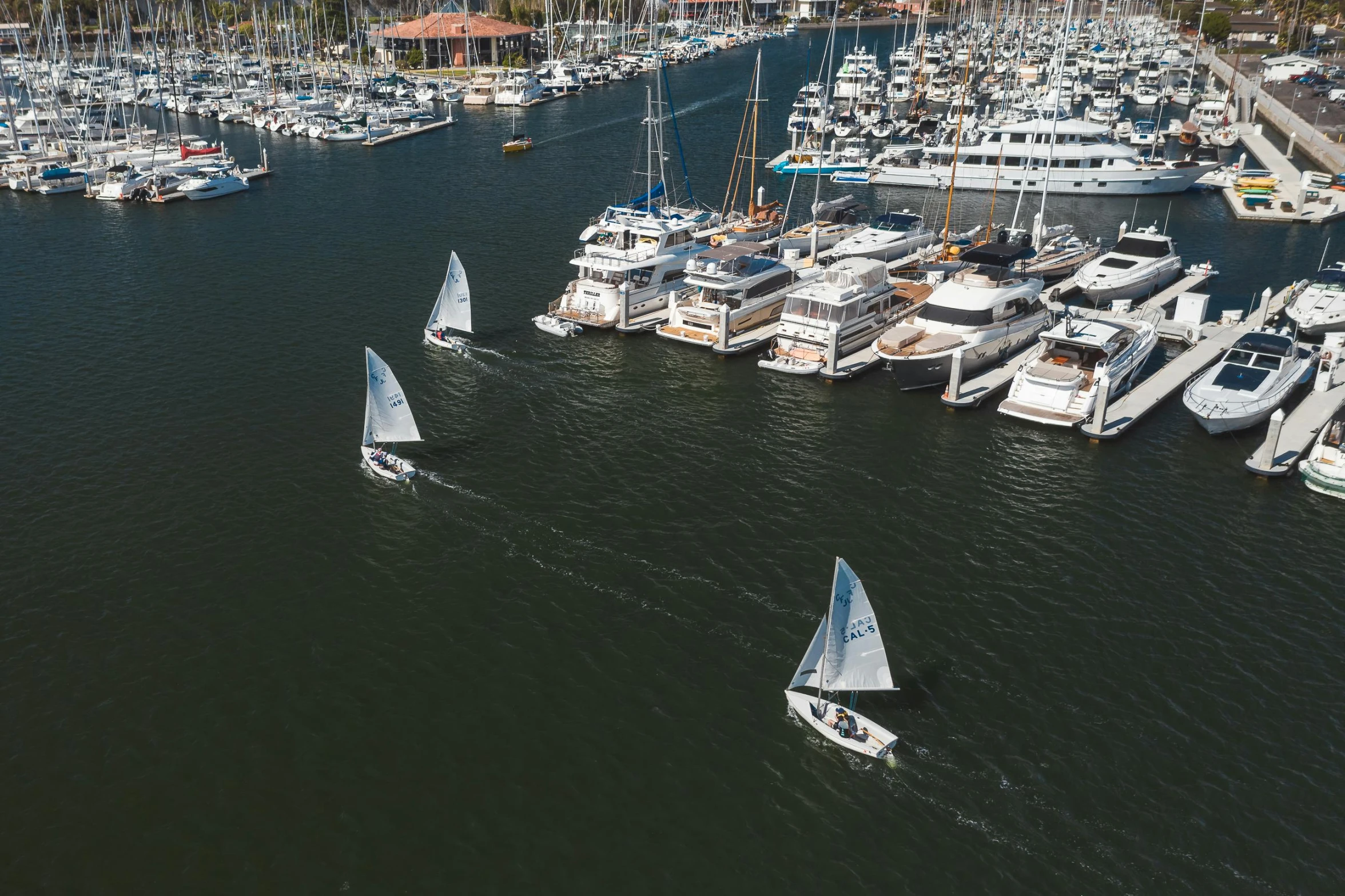 a number of boats in a body of water, happening, sydney, bored ape yacht club, mid air shot, the city of santa barbara