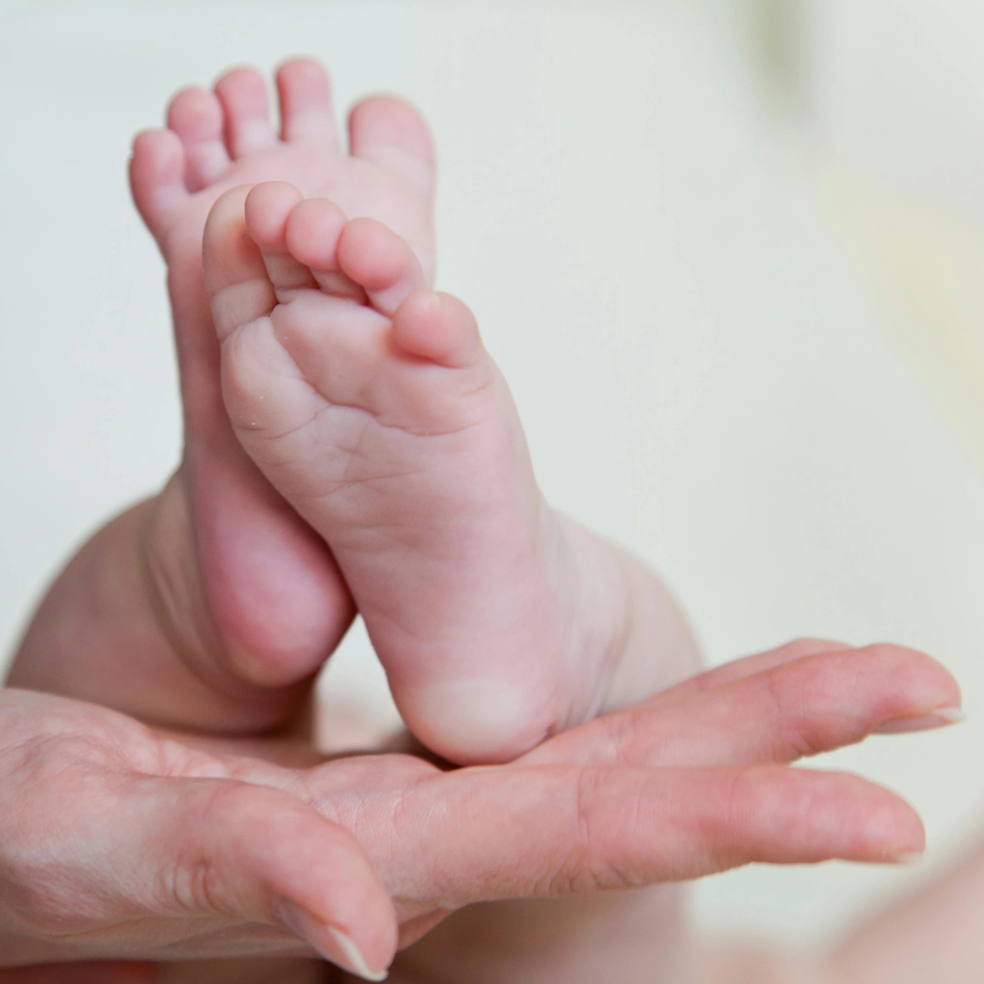 a close up of a person holding a baby's foot, different sizes, soft smooth skin, multiple stories, rectangle