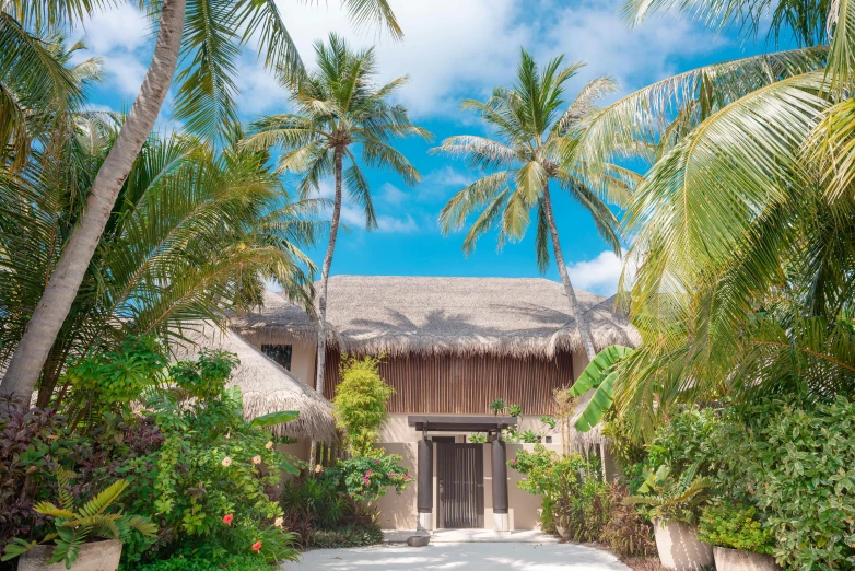 a house with a thatched roof surrounded by palm trees, unsplash, visual art, private academy entrance, maldives in background, with vegetation, symmetrical front view