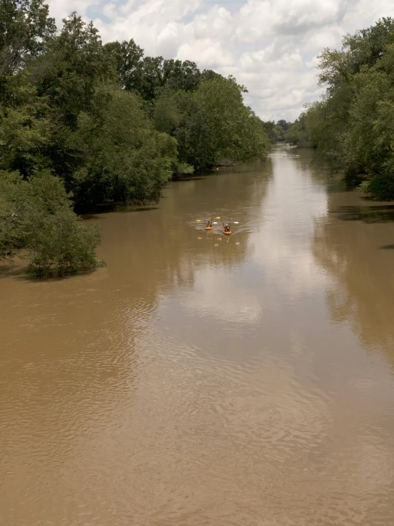 a river running through a lush green forest filled with trees, a photo, by Joe Stefanelli, renaissance, flooded station, small canoes, thumbnail, documentary still