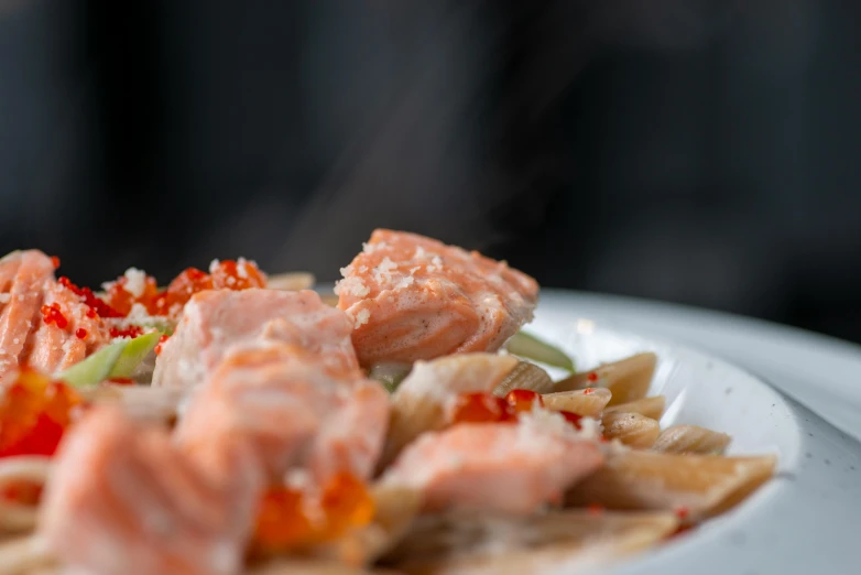 a close up of a plate of food on a table, steamy, salmon, eats pasta all the time, 王琛