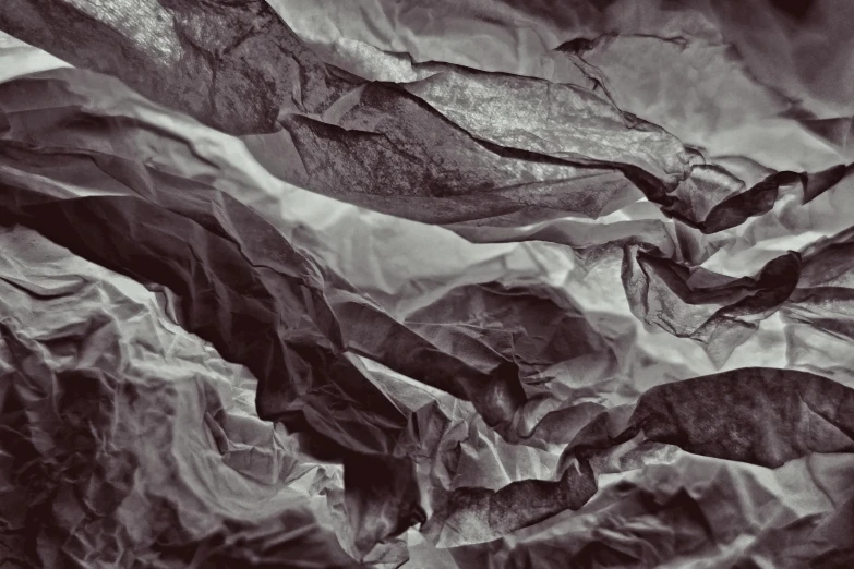 a black and white photo of crumpled paper, an abstract drawing, pexels contest winner, conceptual art, cool sepia tone colors, made of lab tissue, instagram picture, foil effect